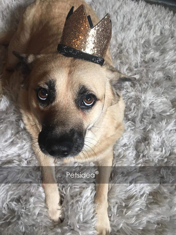 Cute Pet Birthday Crown Hat and Bow Tie Collar Set for Dog Cat Birthday Party Supplies (Royal & Gold)