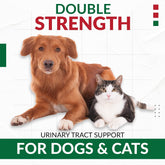 Cranberry D-Mannose for Dogs and Cats Urinary Tract Infection Support Prevents and Eliminates UTI, Bladder Infection Kidney Support 11.4 Oz (Double Strength Soft Chew, 120 Soft Chew)