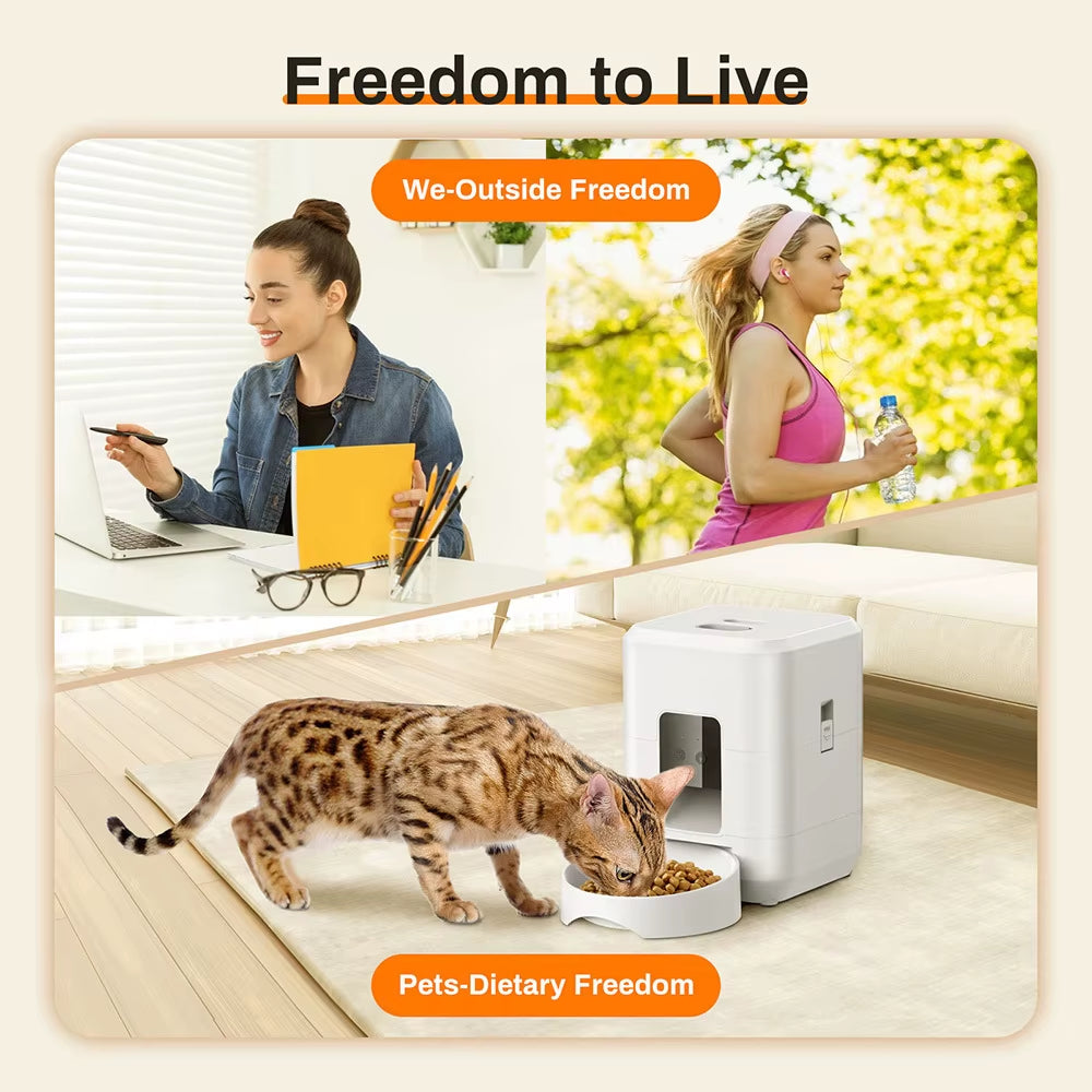 2L Pet Feeder Timing Smart Automatic Dog Pet Feeder for Cats Dog Button WIFI APP Intelligent Dry Food Dispenser Dog Bowl