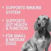 Dog Probiotic Chews for Dogs - Support Healthy Digestion Dog Probiotics and Digestive Enzymes for Gut Health for Dogs - for Traveling, Kenneling and Training - Large/Giant Dog