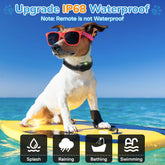 Dog Shock Collar for 2 Dogs, Dog Training Collar with Remote for Large Medium Small Dogs, Rechargeable E-Collar Waterproof Collars with 3 Training Modes