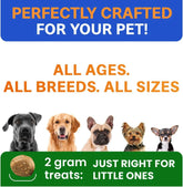 Vet Strength Dog Probiotics Chews - Gas, Diarrhea, Allergy, Constipation, Upset Stomach Relief, with Digestive Enzymes + Pumpkin + Prebiotics - Chewable Fiber Supplement - Improve Digestion, Immunity