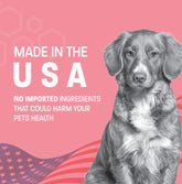 Dog Probiotic Chews for Dogs - Support Healthy Digestion Dog Probiotics and Digestive Enzymes for Gut Health for Dogs - for Traveling, Kenneling and Training - Large/Giant Dog