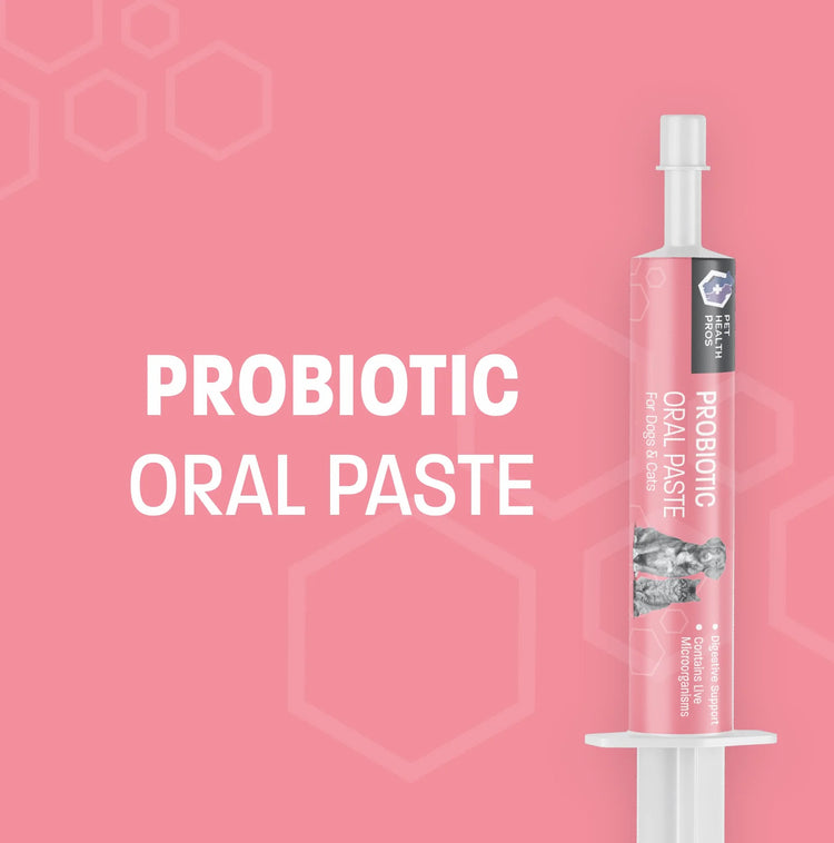 Diarrhea Relief Probiotic Paste; Digestion Support, Gas Relief, Constipation Treatment; 30Cc; Flavor Neutral