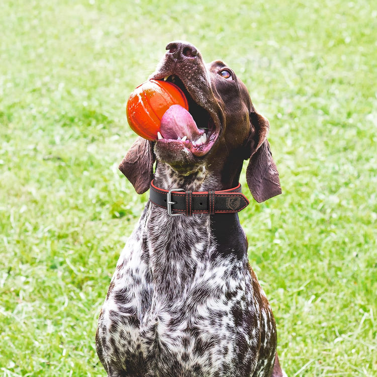 Riparo Dog Collars for Medium Dogs, Genuine Leather Dog Collar, Medium Dog Collar (M: 1" Wide for 13.5โ-17.5โ Neck, Black/Red Thread)
