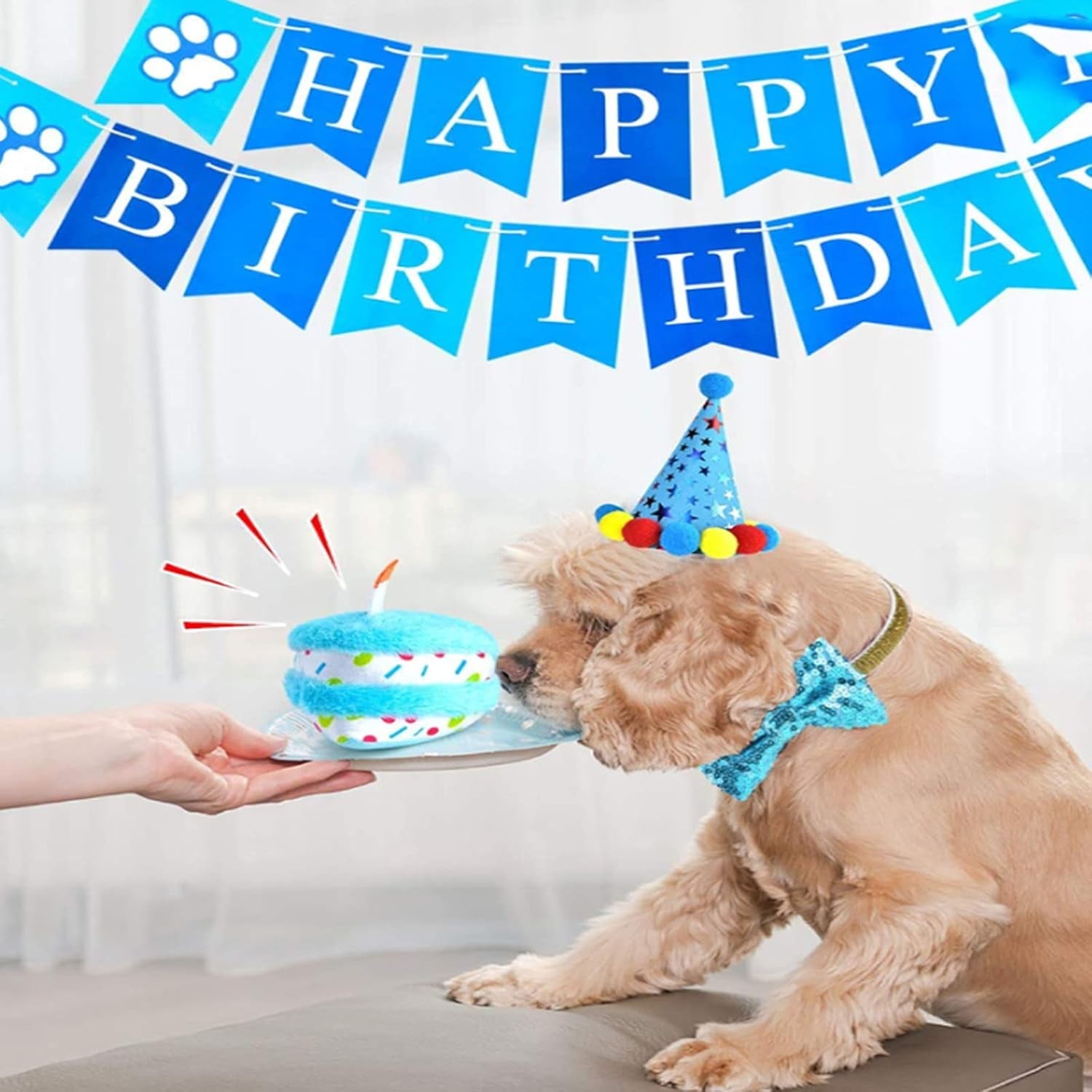 Dog Birthday Outfit Dog Happy Birthday Banner Boy with Dog Birthday Number Dog Birthday Hat Birthday Squeaky Cake Toys Lets Pawty Paw Balloons for Dog Puppy Birthday Party Supplies