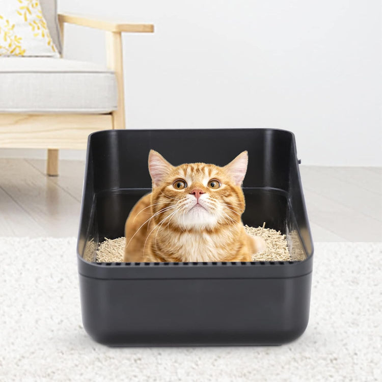 Open Litter Box, High Side Sifting, Secure and Odor Control, Removable, Easy to Clean for Cats up to 8 Pounds (Black Small)