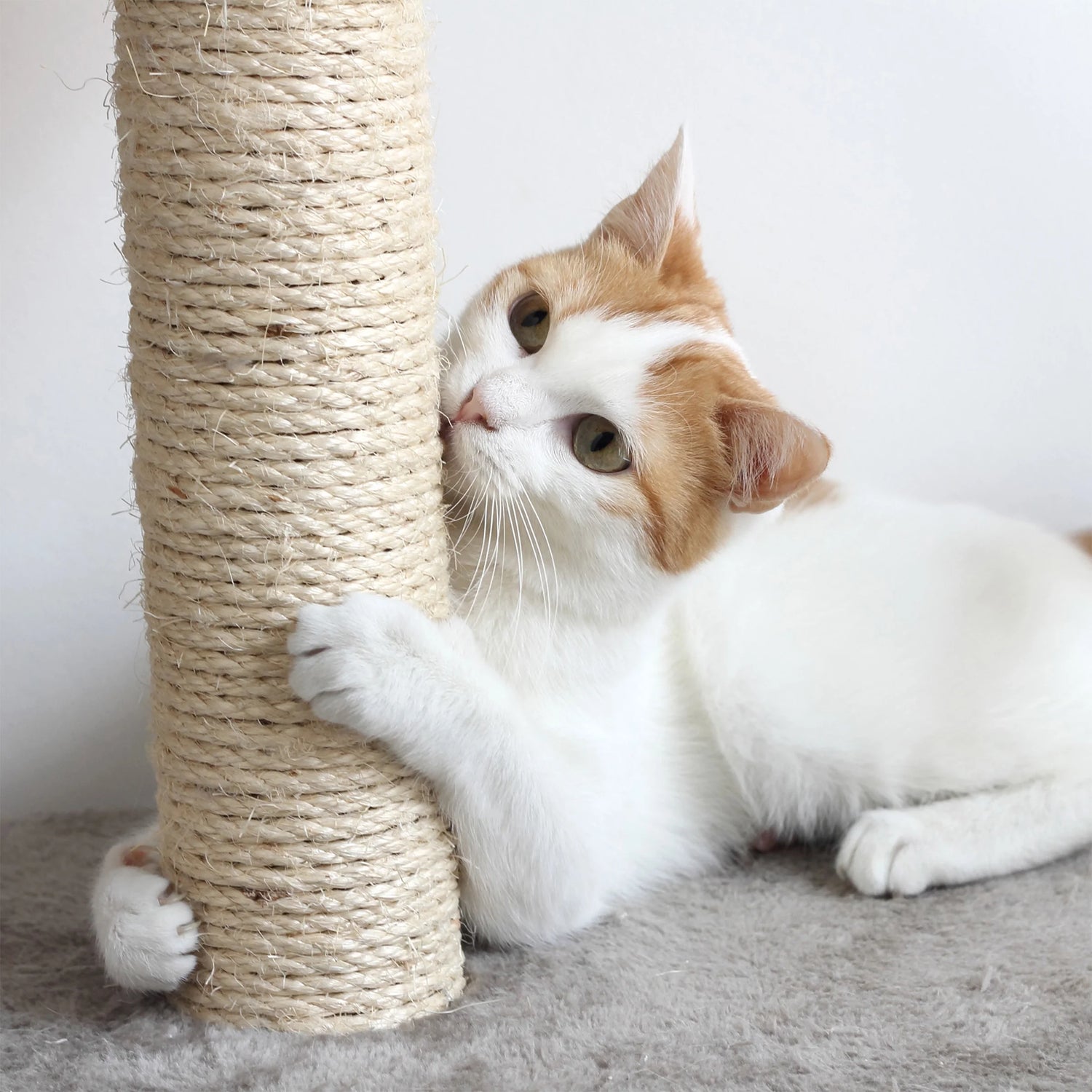 PETMAKER Tall Cat Tree Condo with Perches, Scratch Post, and Wheel Toy