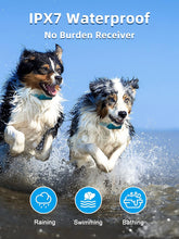 Remote Dog Training Collar - 4000ft Waterproof Shock Collar for Two Dogs, Rechargeable E-Collar with Beep, Vibration, and Humane Shock Modes (1-16) for Large, Medium, and Small Breeds