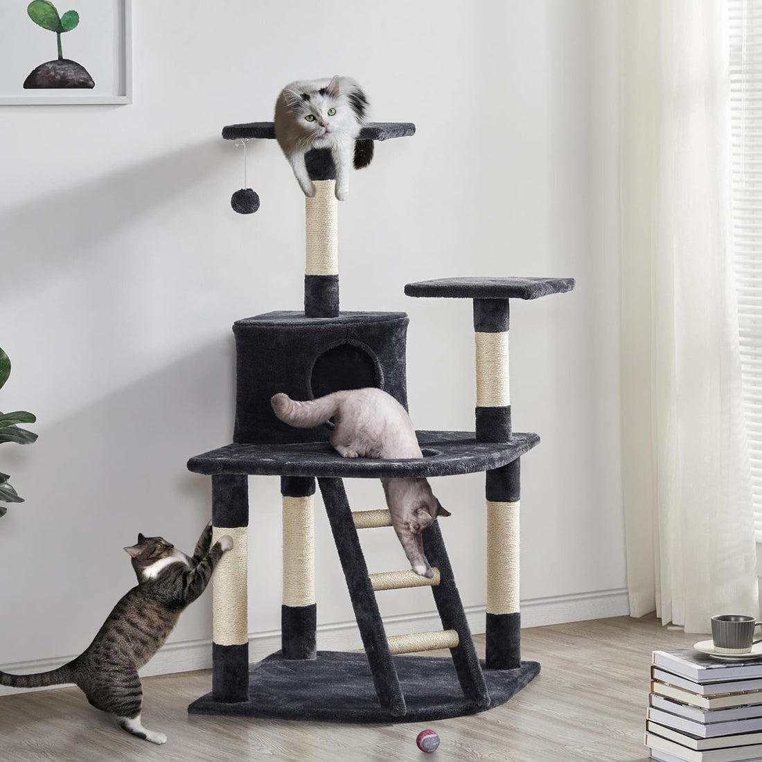 CAT TREES & SCRATCHING POST