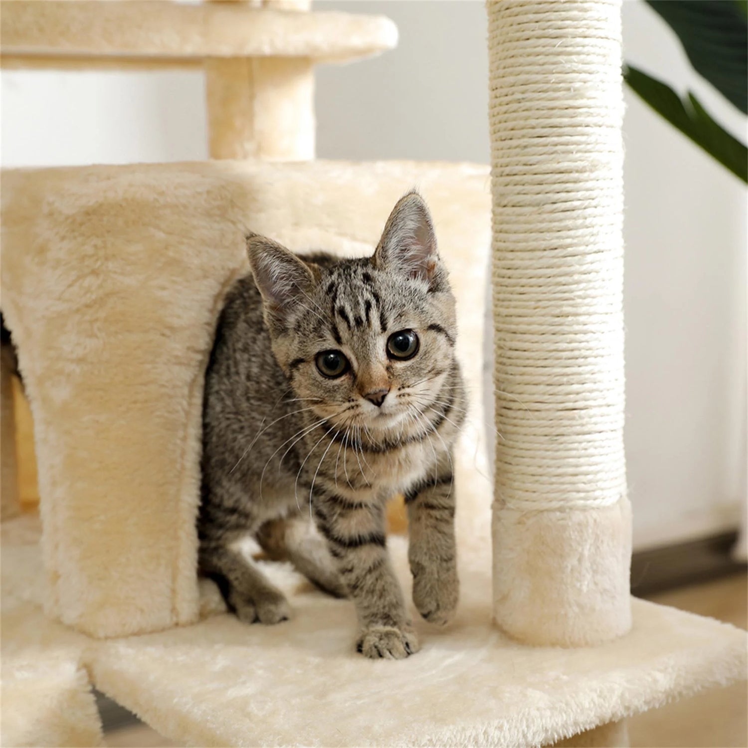 56" Multi-Level Cat Tree Tower House for Indoor Cats, Cat Condo Plush Perch with Scratching Posts, Hammock Basket, Beige