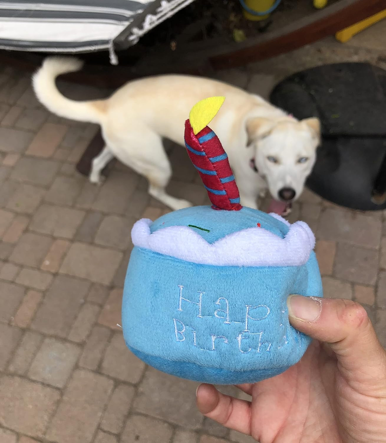 Dog Birthday Toy - Unique Birthday Cake Design for Dog Celebrations, Promotes Mental Stimulation and Interactive Play - Plush Squeaky Gift (Blue Cake)