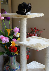 52-In Cat Tree & Condo Scratching Post Tower, Beige