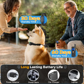 Dog Shock Collar for 2 Dogs, Dog Training Collar with Remote for Large Medium Small Dogs, Rechargeable E-Collar Waterproof Collars with 3 Training Modes