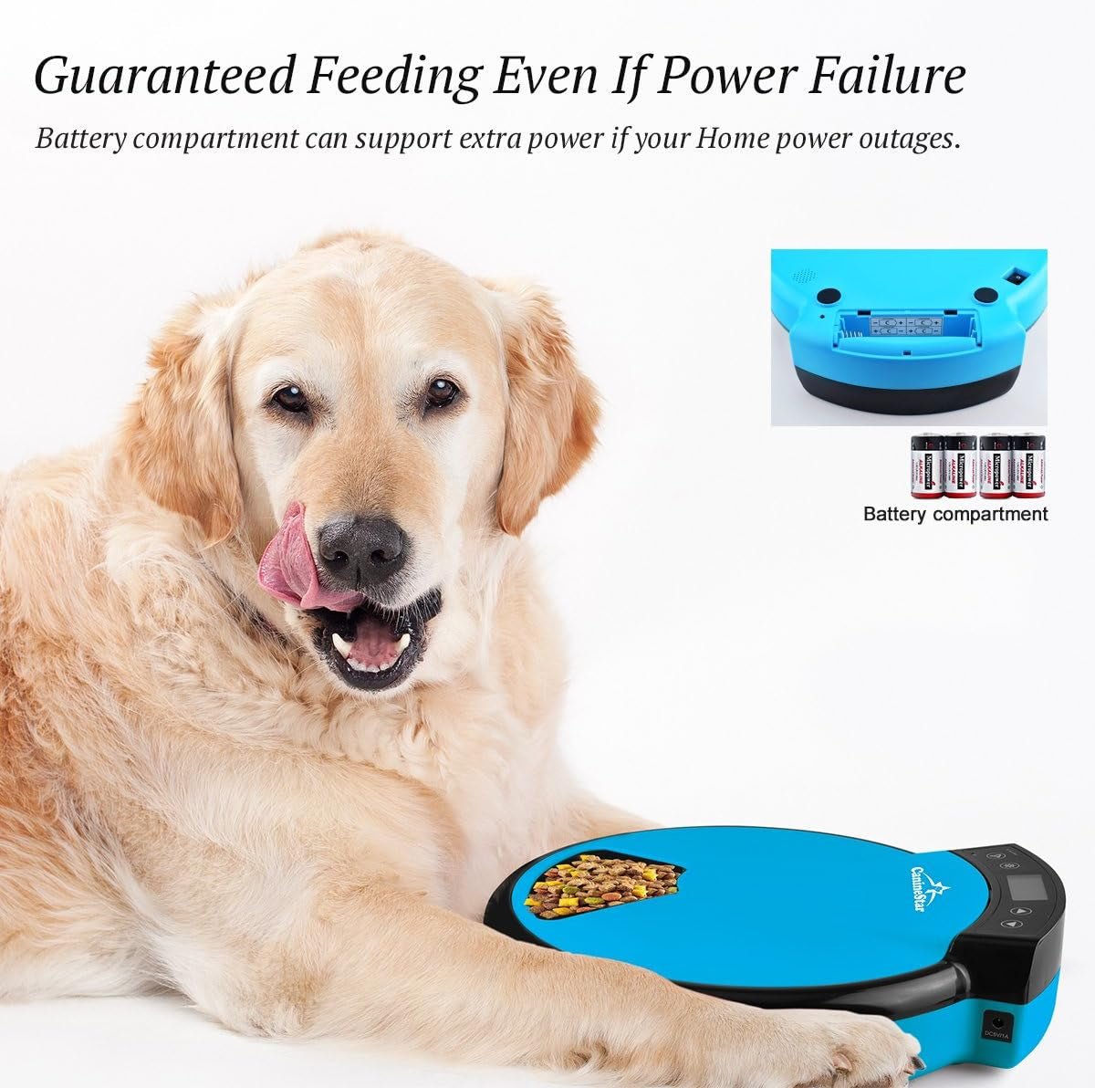 Automatic Pet Feeder for Cats and Dogs, 5-Meal Food Dispenser with Dry and Wet Food Capability by Caninestar (Blue)