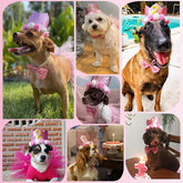 Cat Dog Birthday Crown Hat and Bow Tie Collar Set Pet Girl Birthday Party Supplies (Pink)