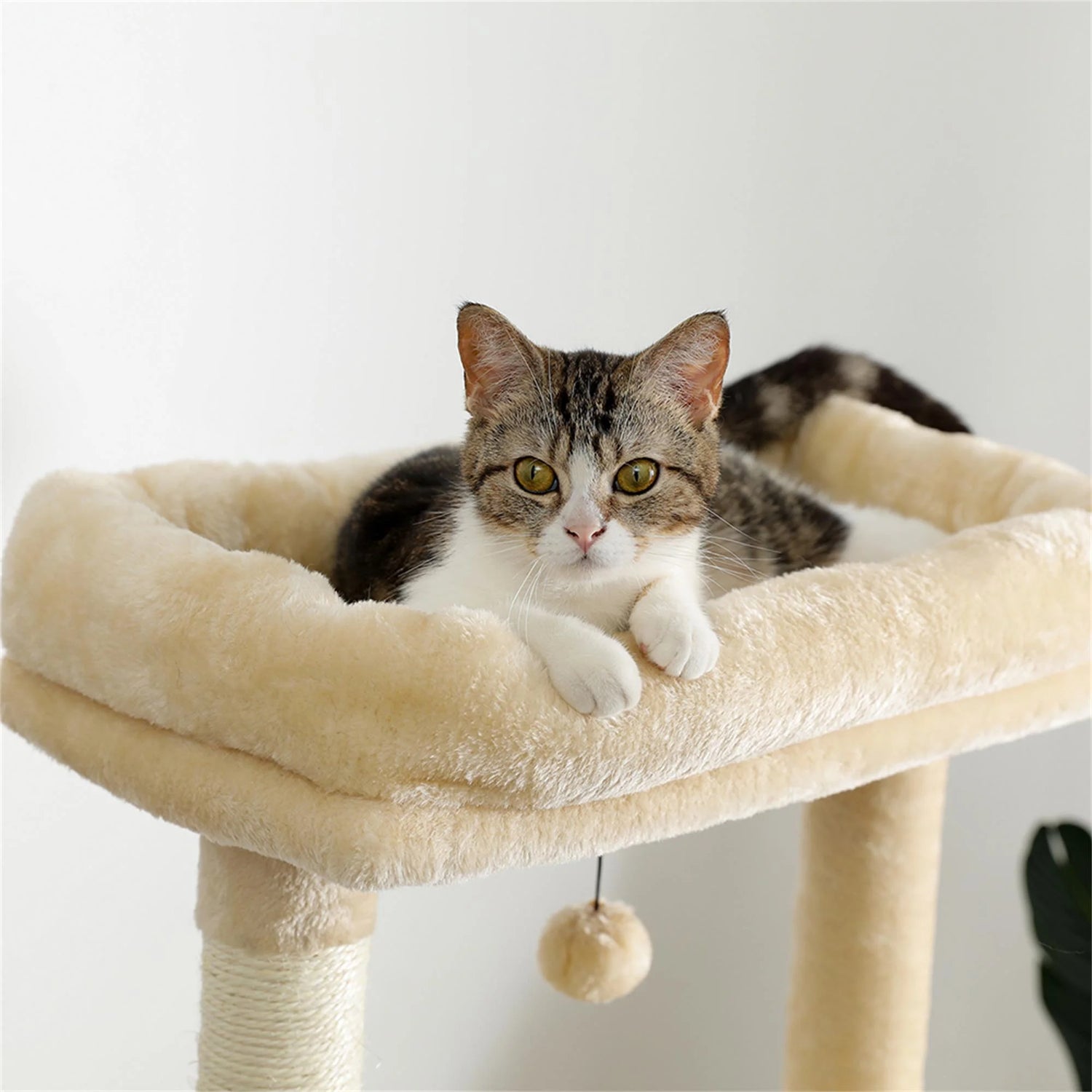 56" Multi-Level Cat Tree Tower House for Indoor Cats, Cat Condo Plush Perch with Scratching Posts, Hammock Basket, Beige