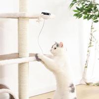 Interactive Electronic Motion Cat Toy