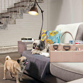 Pet Grooming Tote Bag, Dog Grooming Supplies Organizer Bag, Dog Grooming Bag for Travel Outdoor(Bag ONLY) (Khaki)