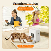 2L Pet Feeder Timing Smart Automatic Dog Pet Feeder for Cats Dog Button WIFI APP Intelligent Dry Food Dispenser Dog Bowl