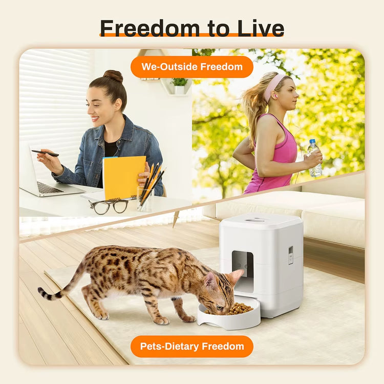 2L Pet Feeder Timing Smart Automatic Dog Pet Feeder for Cats Dog Button WIFI APP Intelligent Dry Food Dispenser Dog Bowl