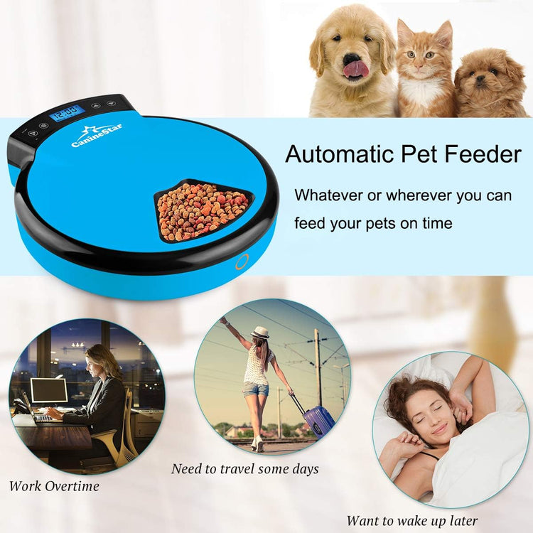 Automatic Pet Feeder for Cats and Dogs, 5-Meal Food Dispenser with Dry and Wet Food Capability by Caninestar (Blue)
