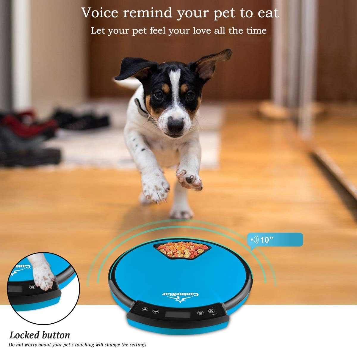 Automatic Pet Feeder for Cats and Dogs, 5-Meal Food Dispenser with Dry and Wet Food Capability by Caninestar (Blue)