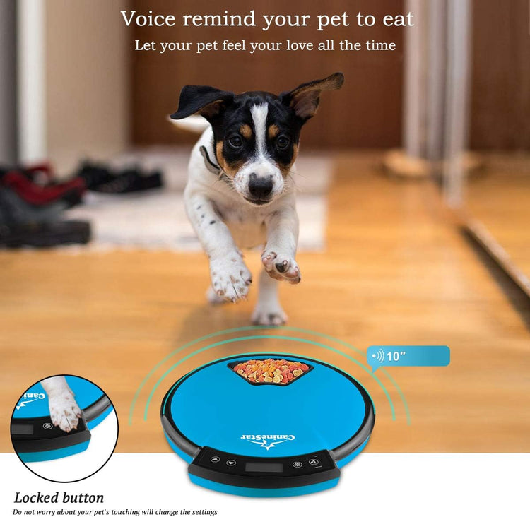 Automatic Pet Feeder for Cats and Dogs, 5-Meal Food Dispenser with Dry and Wet Food Capability by Caninestar (Blue)