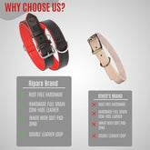 Riparo Dog Collars for Medium Dogs, Genuine Leather Dog Collar, Medium Dog Collar (M: 1" Wide for 13.5”-17.5” Neck, Black/Red Thread)