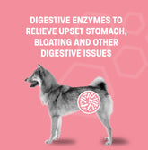 Diarrhea Relief Probiotic Paste; Digestion Support, Gas Relief, Constipation Treatment; 30Cc; Flavor Neutral