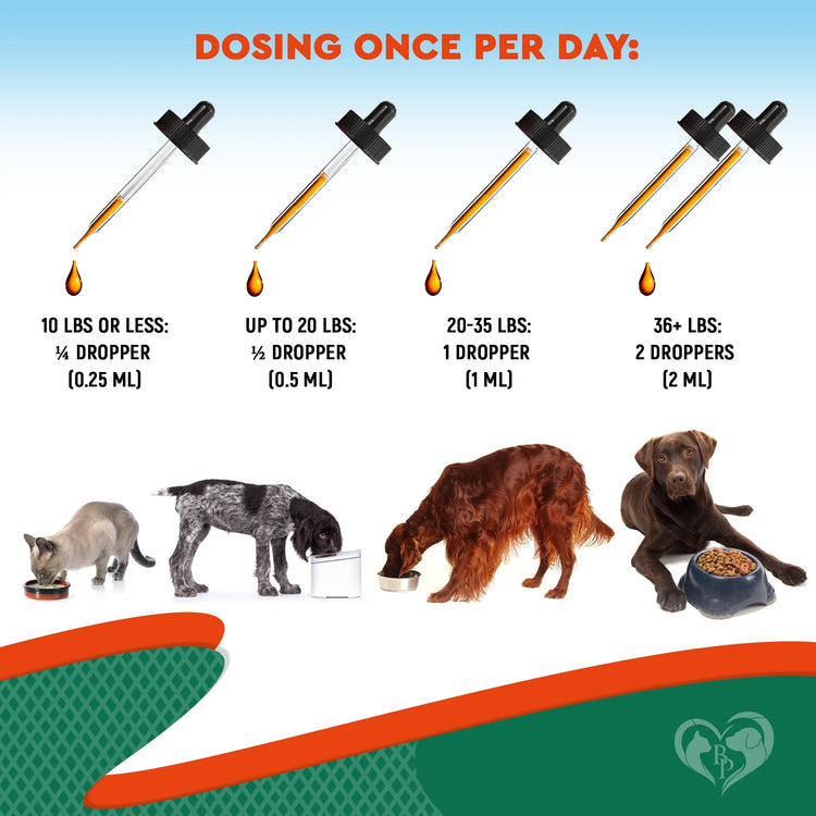 Natural Herbal Antibiotics for Cats and Dogs - Kennel Cough Relief & Urinary Tract Support - Cranberry UTI Treatment Pet Supplement - Respiratory & Cold Infection Medicine