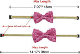 Cat Dog Birthday Crown Hat and Bow Tie Collar Set Pet Girl Birthday Party Supplies (Pink)