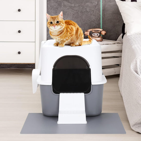 Fully Enclosed Splash-Proof Top Entry Litter Box for Small Cats under 8 IB, Easy to Assemble and Install (Grey, Small)