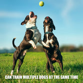 Dog Shock Collar 2 Remotes, Waterproof Rechargeable Electric Dog Training Collar with Remote, 2000Ft 3 Modes Beep Vibration Safe Shock,Green