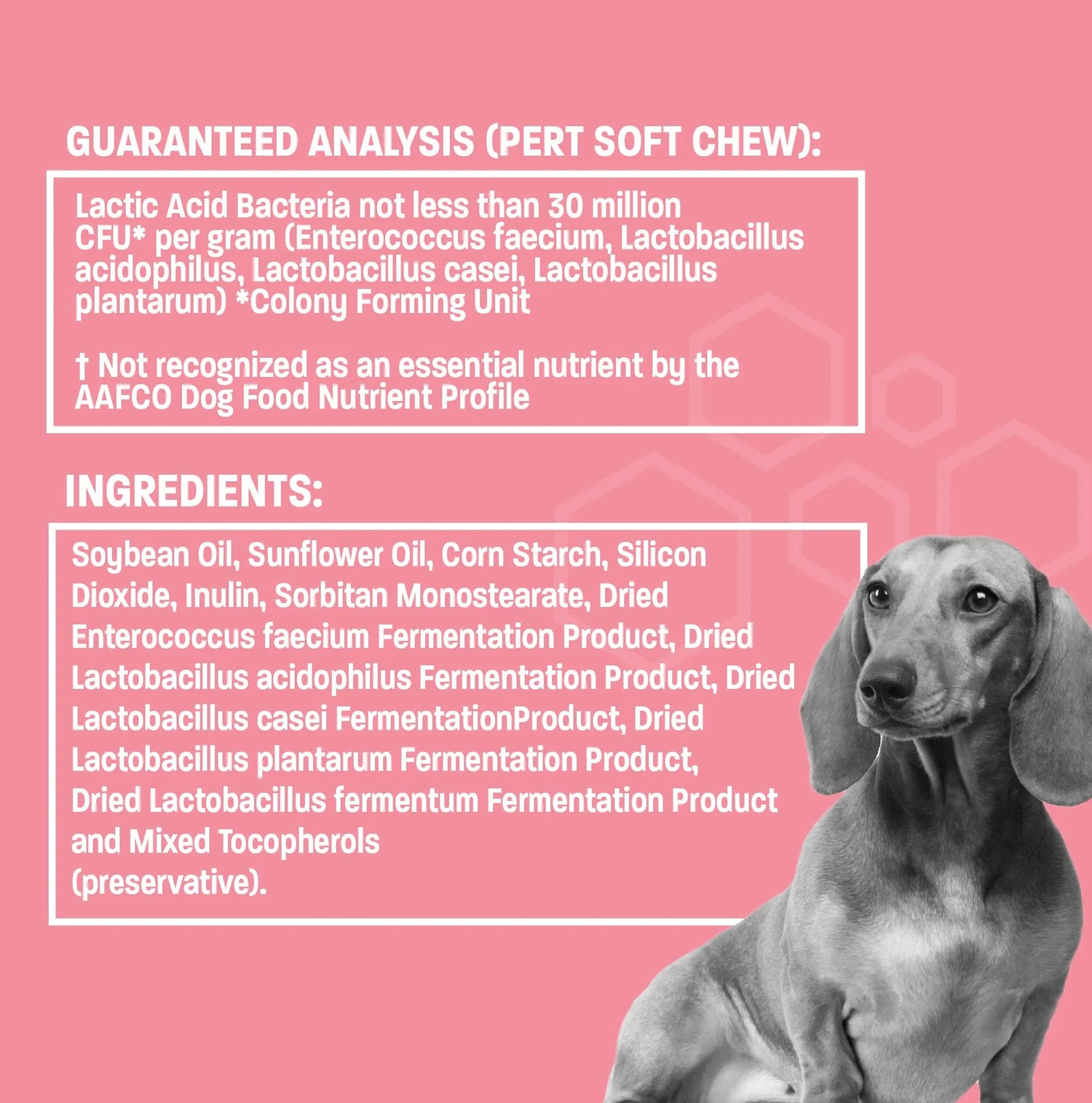 Diarrhea Relief Probiotic Paste; Digestion Support, Gas Relief, Constipation Treatment; 30Cc; Flavor Neutral