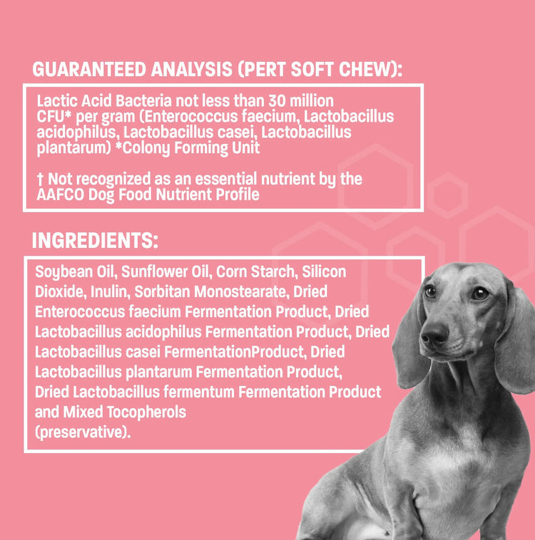 Diarrhea Relief Probiotic Paste; Digestion Support, Gas Relief, Constipation Treatment; 30Cc; Flavor Neutral