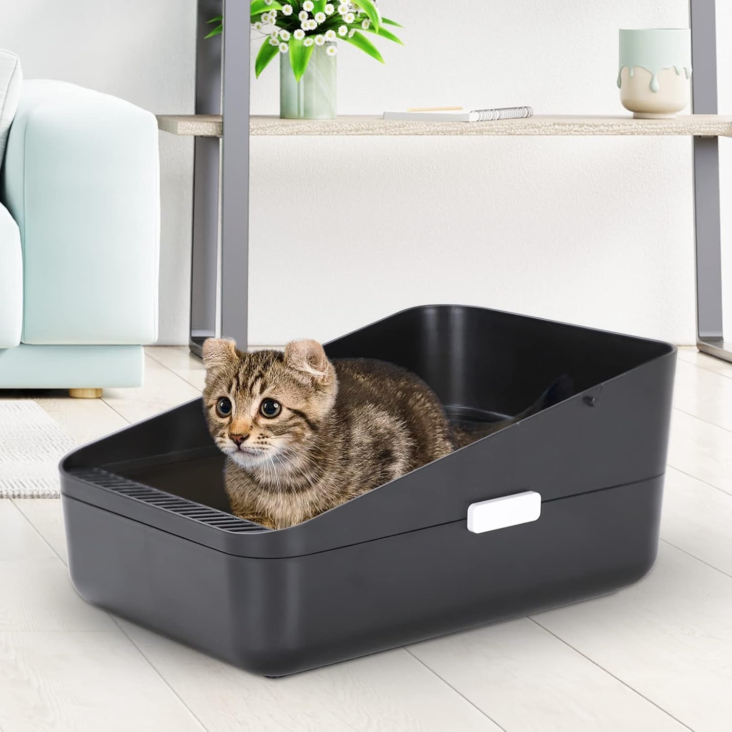 Open Litter Box, High Side Sifting, Secure and Odor Control, Removable, Easy to Clean for Cats up to 8 Pounds (Black Small)