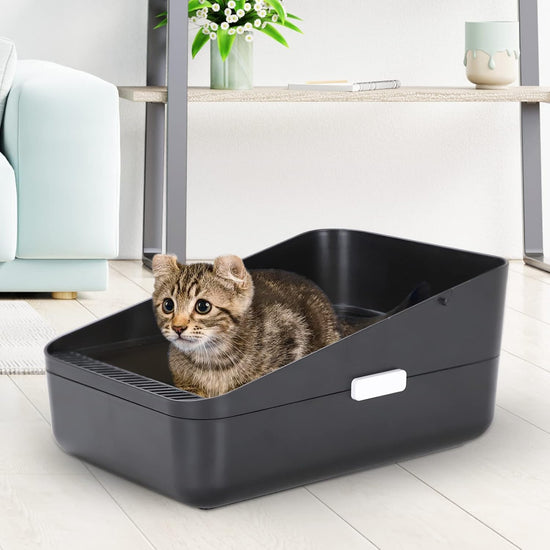 Open Litter Box, High Side Sifting, Secure and Odor Control, Removable, Easy to Clean for Cats up to 8 Pounds (Black Small)
