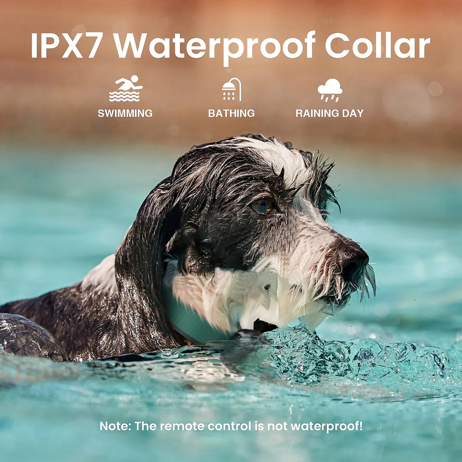 Dog Shock Collar 2 Remotes, Waterproof Rechargeable Electric Dog Training Collar with Remote, 2000Ft 3 Modes Beep Vibration Safe Shock,Green