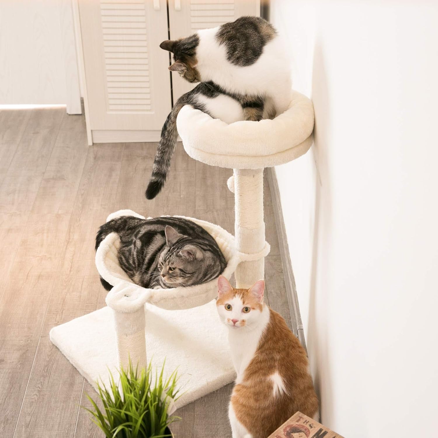 28.7 Inches Cat Tree with Sisal-Covered Scratching Posts,Hammock and Plush Perches,Small Cat Tower for Kittens- Multiple Colors-Beige