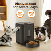 2L Pet Feeder Timing Smart Automatic Dog Pet Feeder for Cats Dog Button WIFI APP Intelligent Dry Food Dispenser Dog Bowl