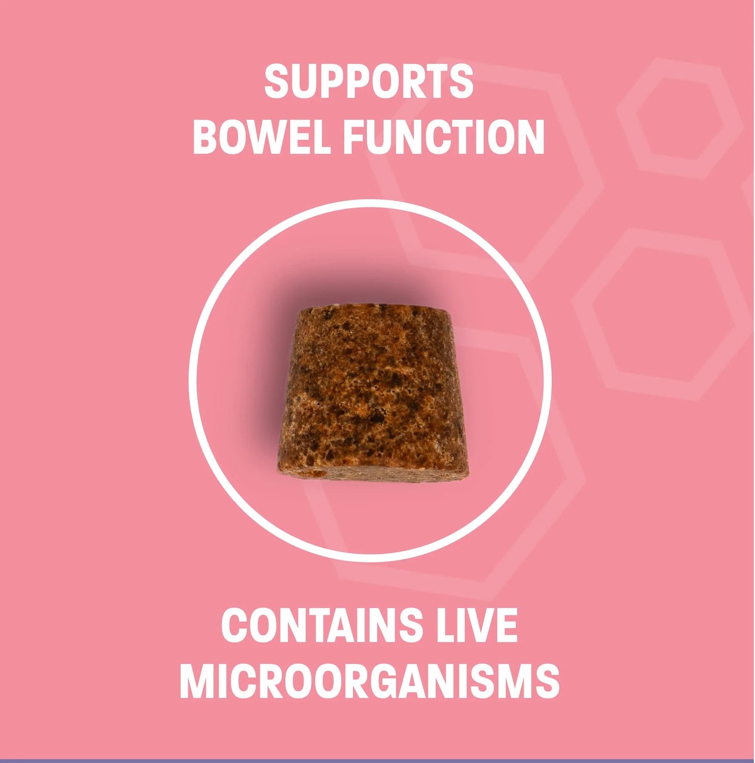 Dog Probiotic Chews for Dogs - Support Healthy Digestion Dog Probiotics and Digestive Enzymes for Gut Health for Dogs - for Traveling, Kenneling and Training - Large/Giant Dog