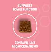 Dog Probiotic Chews for Dogs - Support Healthy Digestion Dog Probiotics and Digestive Enzymes for Gut Health for Dogs - for Traveling, Kenneling and Training - Large/Giant Dog