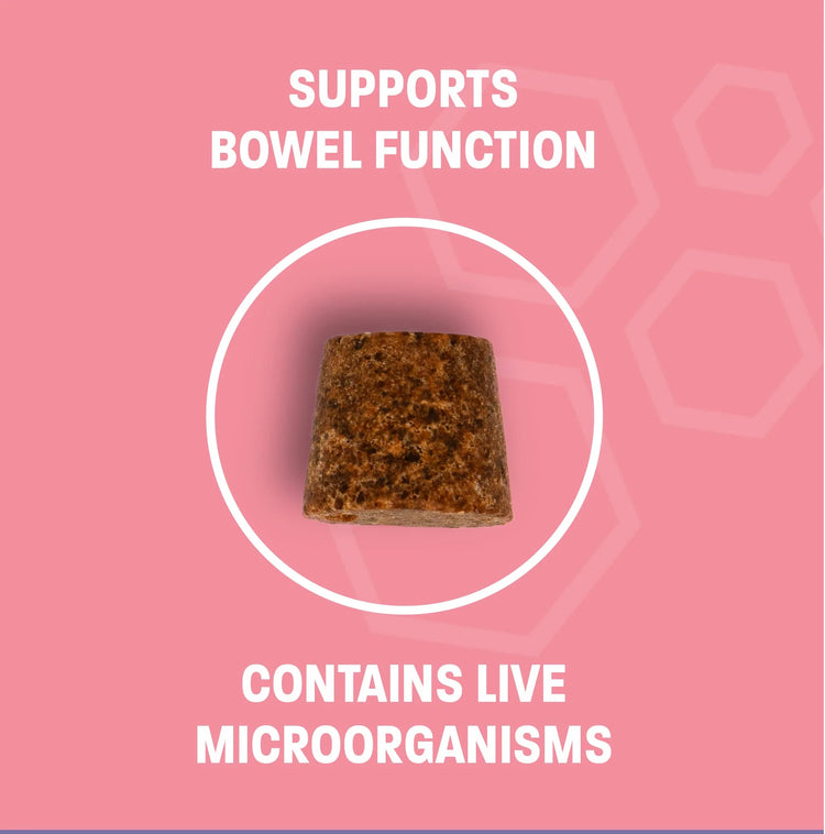 Dog Probiotic Chews for Dogs - Support Healthy Digestion Dog Probiotics and Digestive Enzymes for Gut Health for Dogs - for Traveling, Kenneling and Training - Large/Giant Dog