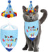 Pet Cat Dog Happy Birthday Bandana Scarfs and Cute Party Hat for Girls Boys,Cat Birthday Gift Decorations Set with Soft Scarf & Adorable Hat