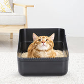 Open Litter Box, High Side Sifting, Secure and Odor Control, Removable, Easy to Clean for Cats up to 8 Pounds (Black Small)