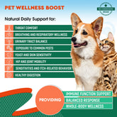 Natural Herbal Antibiotics for Cats and Dogs - Kennel Cough Relief & Urinary Tract Support - Cranberry UTI Treatment Pet Supplement - Respiratory & Cold Infection Medicine
